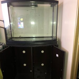 A 36 gallon fish tank